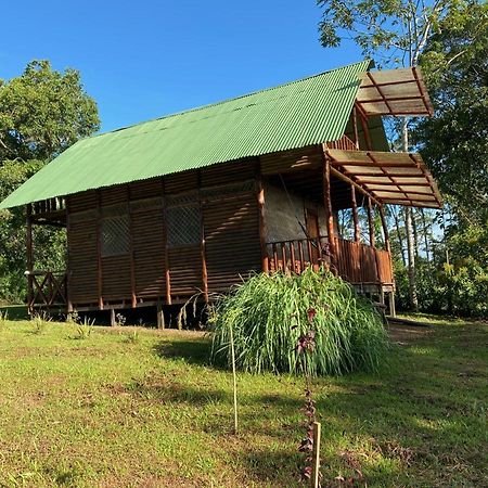 Eco Guest House- Sarapiqui 2 Buitenkant foto